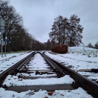 De eerste sneeuw van 2026..

#borninbeeld #limburginbeeld #liefdevoorlimburg #magnifiekzuidlimburg #sneeuw